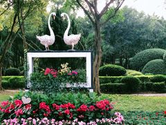 -东南花都花博园