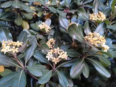 -河南省黄河迎宾馆