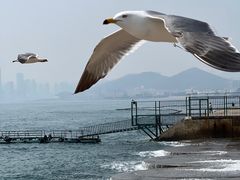 -星海广场