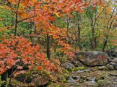 -玉渡山自然风景区