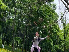 -铁山坪森林公园