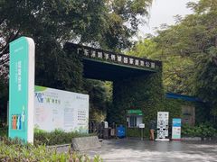 -华侨城湿地公园