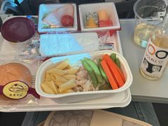 -达拉斯 沃斯堡国际机场