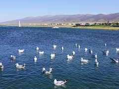 -青海湖国家重点风景名胜区