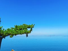 -养马岛旅游度假区