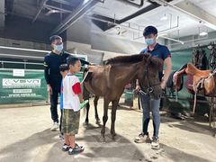 -李振强马术运动推广中心(南城店)