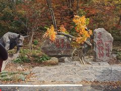 -参仙谷生态旅游度假区