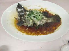 清蒸鱼-锦粤宫·精致粤菜(深圳北站店)