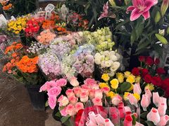 -桂林市花鸟市场