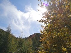 -苏木山森林公园