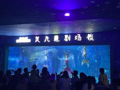 -多彩贵州城极地海洋世界