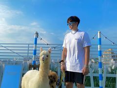 -Blue Concept Cafe&Farm·關於藍