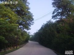 -鲁山国家森林公园