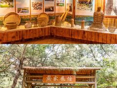 -北海金海湾红树林生态旅游区