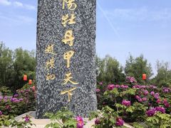 -洛阳市隋唐城遗址植物园