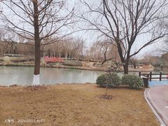 -九科绿洲