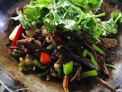 腊肉烧茶树菇-张关合渣(航空大道店)