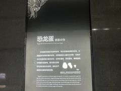 -中国西峡恐龙遗迹园