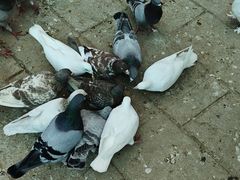 -南京金牛湖风景区