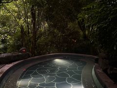 -腾冲洞山温泉村