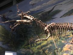 -自贡恐龙博物馆