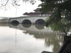 -大湾区中央湿地公园