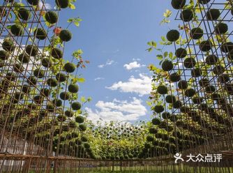 我们期许能够为即将到来的高密度的城市留下一片自然舒适