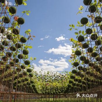 我们期许能够为即将到来的高密度的城市留下一片自然舒适