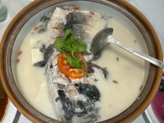 -全乐鱼馆·淳牌有机鱼直营店