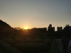 -南沙蒲洲花园