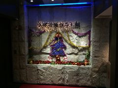 门面-糖朝(尖沙咀店)