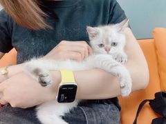 -lincat·猫舍(广州店)