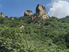 -大岭沟猕猴桃谷风景区