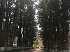 -广东外语外贸大学(白云山校区)