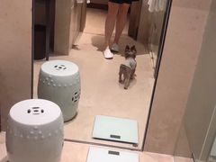 -上海崇明金茂凯悦酒店