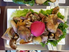 -野菌皇海景野生菌火锅(滨海大道店)