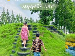 -上海长兴岛郊野公园