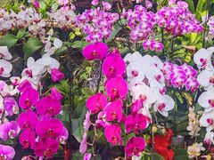 -北京植物园-展览温室