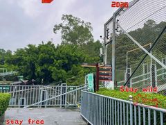 -深圳野生动物园