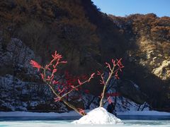 -少华山国家森林公园
