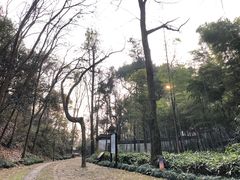 -杭州黄龙洞