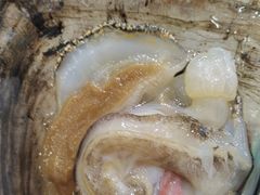 -渔码头食府(蓬莱阁店)