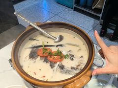 -全乐鱼馆·淳牌有机鱼直营店
