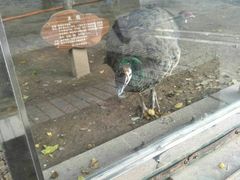 -陕西自然博物馆