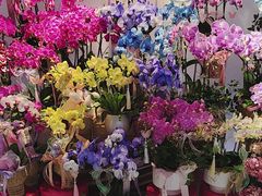 -city'super超·生活(国金中心商场店)