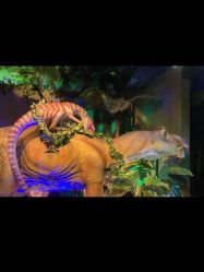 -恐龙探索乐园(磁器口店)