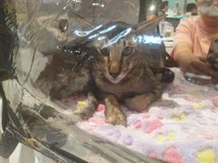-首开·龙湖成都西宸天街