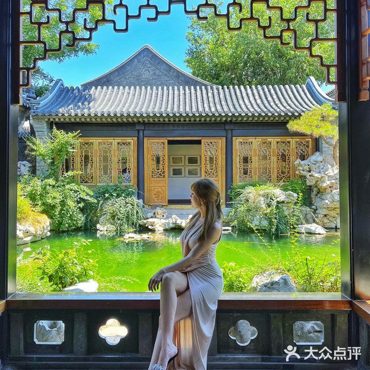 藏在巷中的碧绿池水