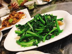 猪油渣菜心-美极鲜食坊(宝安南路店)