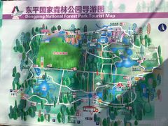 -东平国家森林公园